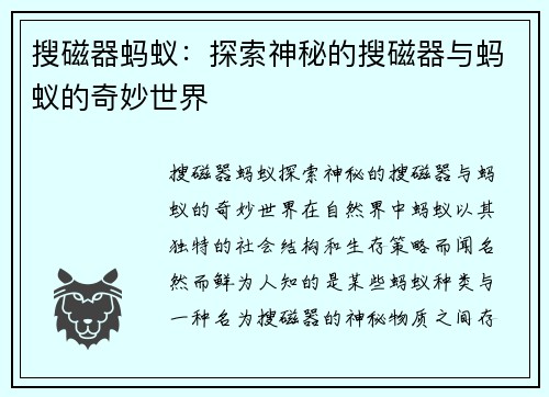 搜磁器蚂蚁：探索神秘的搜磁器与蚂蚁的奇妙世界